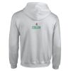 Heavy Blend™ Full Zip Hooded Sweatshirt Thumbnail
